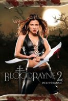 BloodRayne: Deliverance (2007)